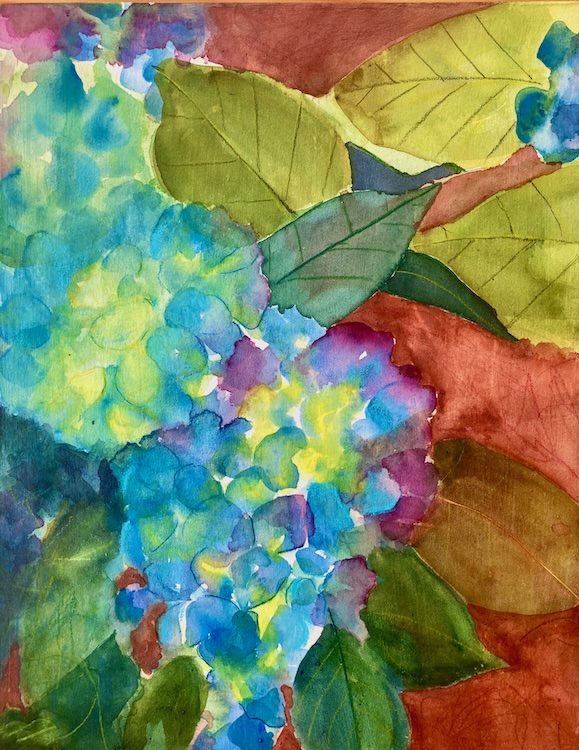 Hydrangea, 2025