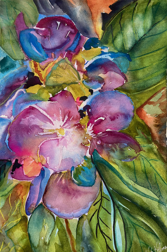 Hydrangea's Journey  1