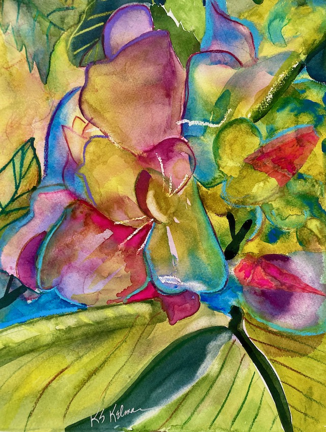 Hydrangea's Journey 3